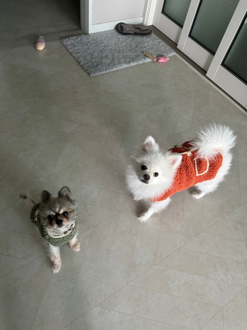 KakaoTalk_20240309_005049639_03.jpg