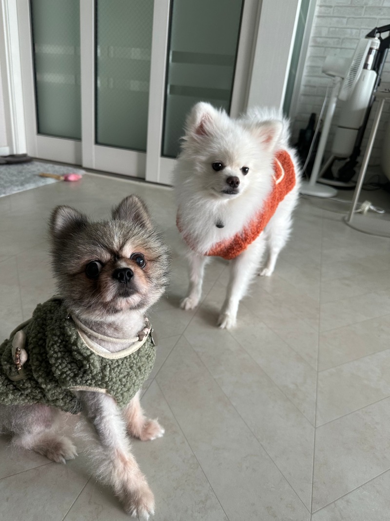 KakaoTalk_20240309_005049639_02.jpg