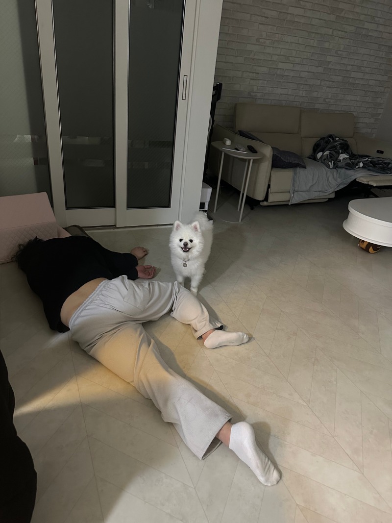 우리 아빠가 이상해요!!!!!!!!!!