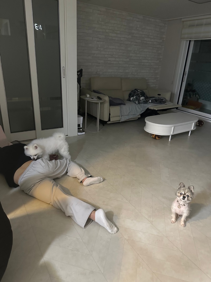 우리 아빠가 이상해요!!!!!!!!!!