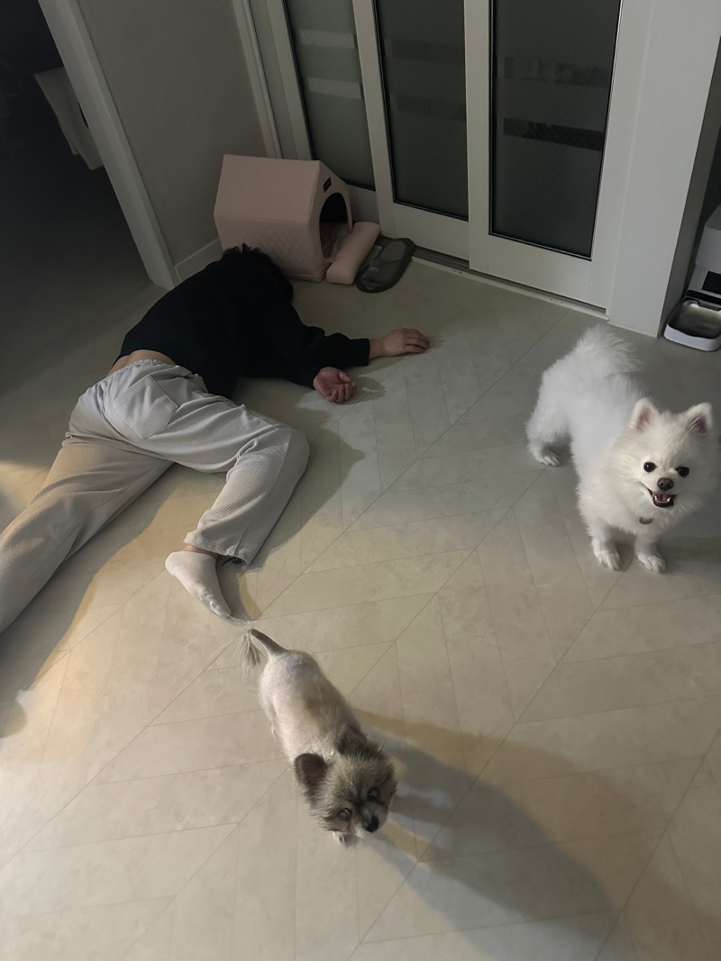 우리 아빠가 이상해요!!!!!!!!!!