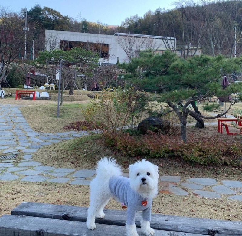 가창 주리 485 한번 고고?