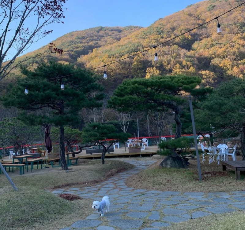 가창 주리 485 한번 고고?