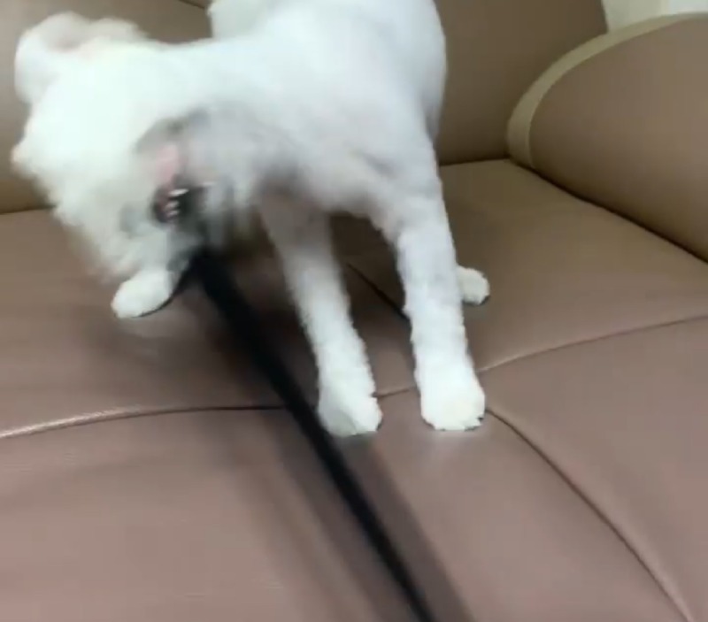 당겨당겨 미친듯이 당겨보는거야!! 아좌!!!!!!!!