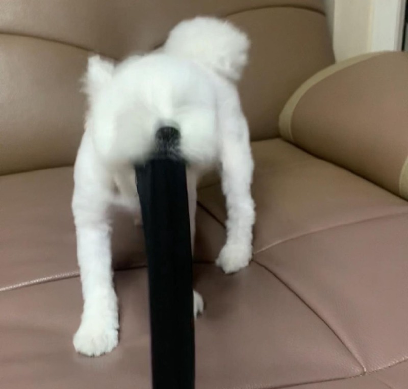 당겨당겨 미친듯이 당겨보는거야!! 아좌!!!!!!!!
