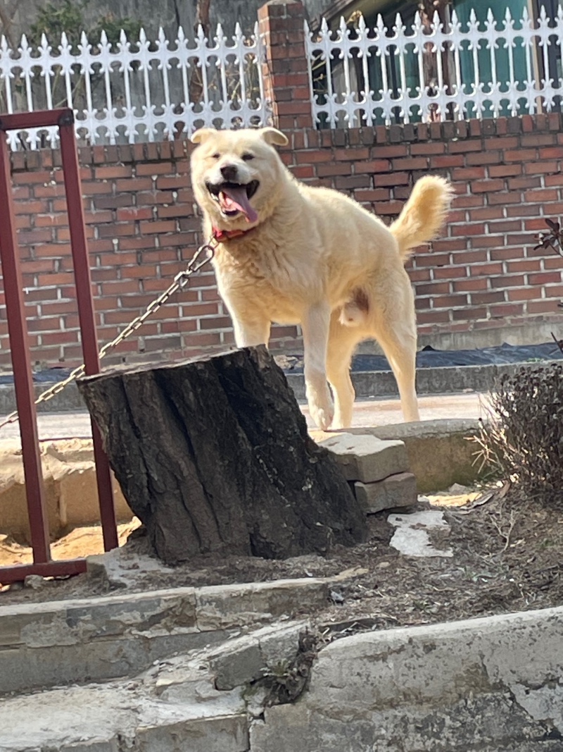 사랑둥이❤️