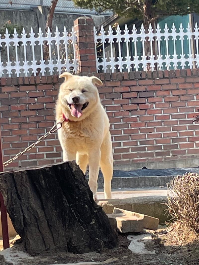 사랑둥이❤️