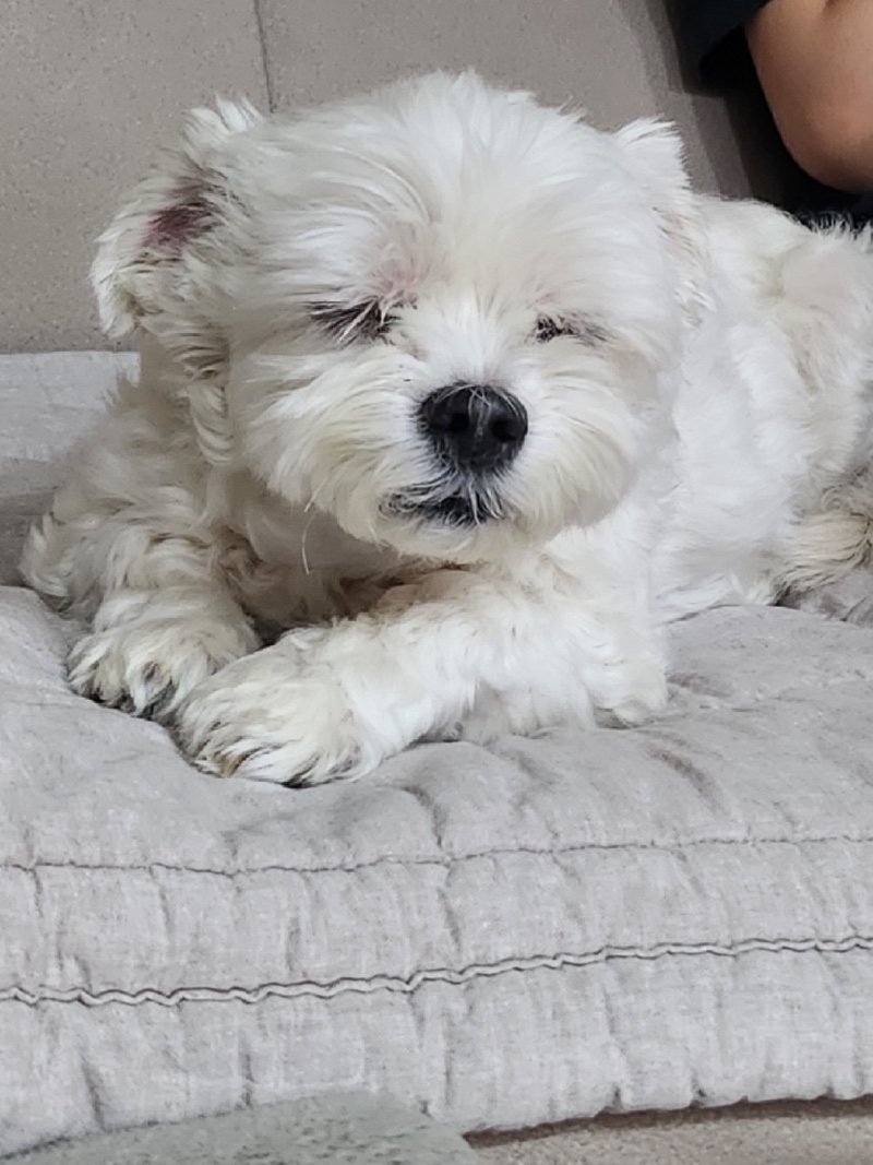 귀염댕❤️