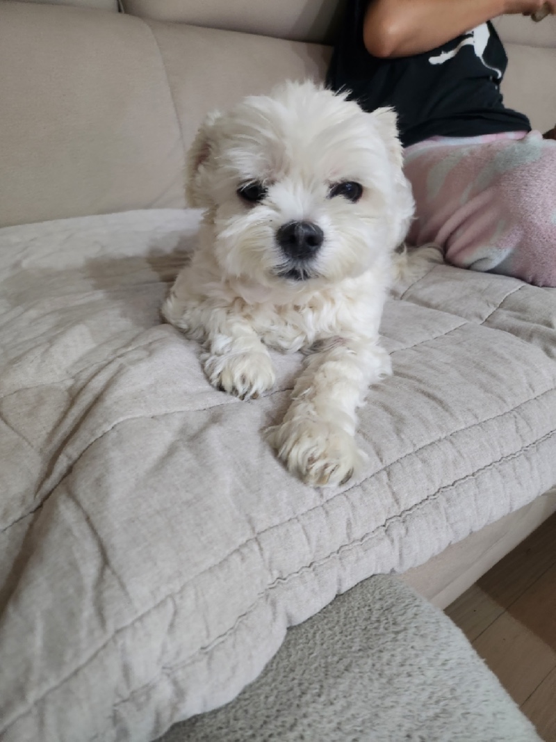 귀염댕❤️