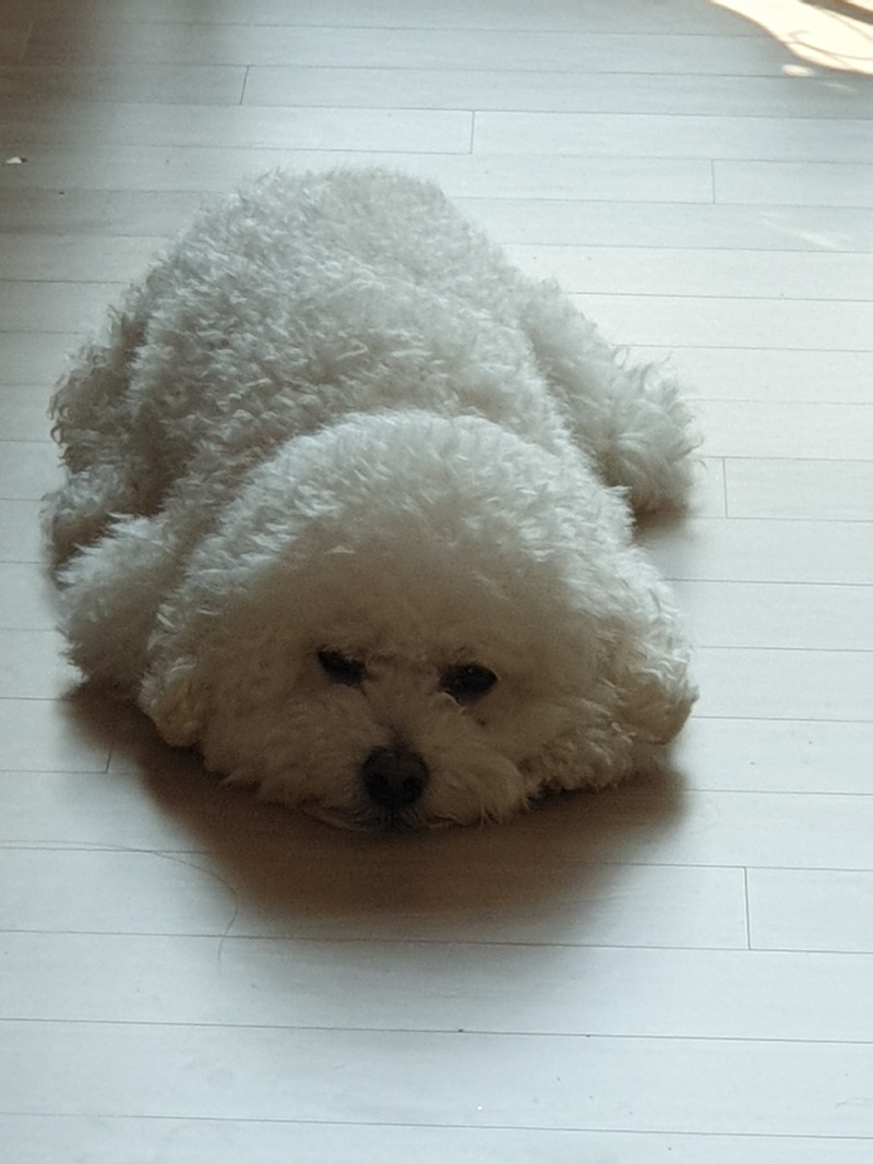 요구가 있으면.. 표현해줘... 