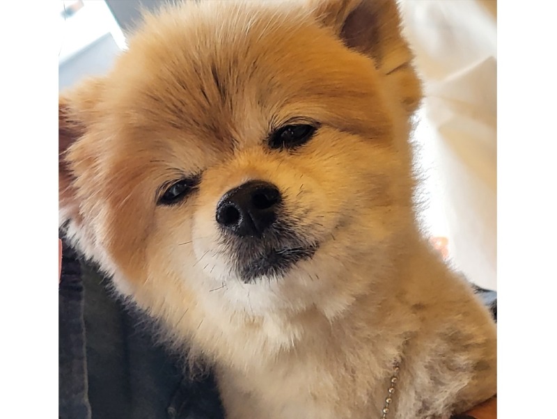 기욤 깡치 ㅎㅎ