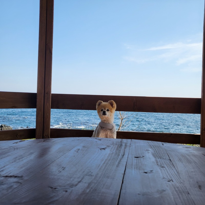 ★제주 애월 해녀의집★