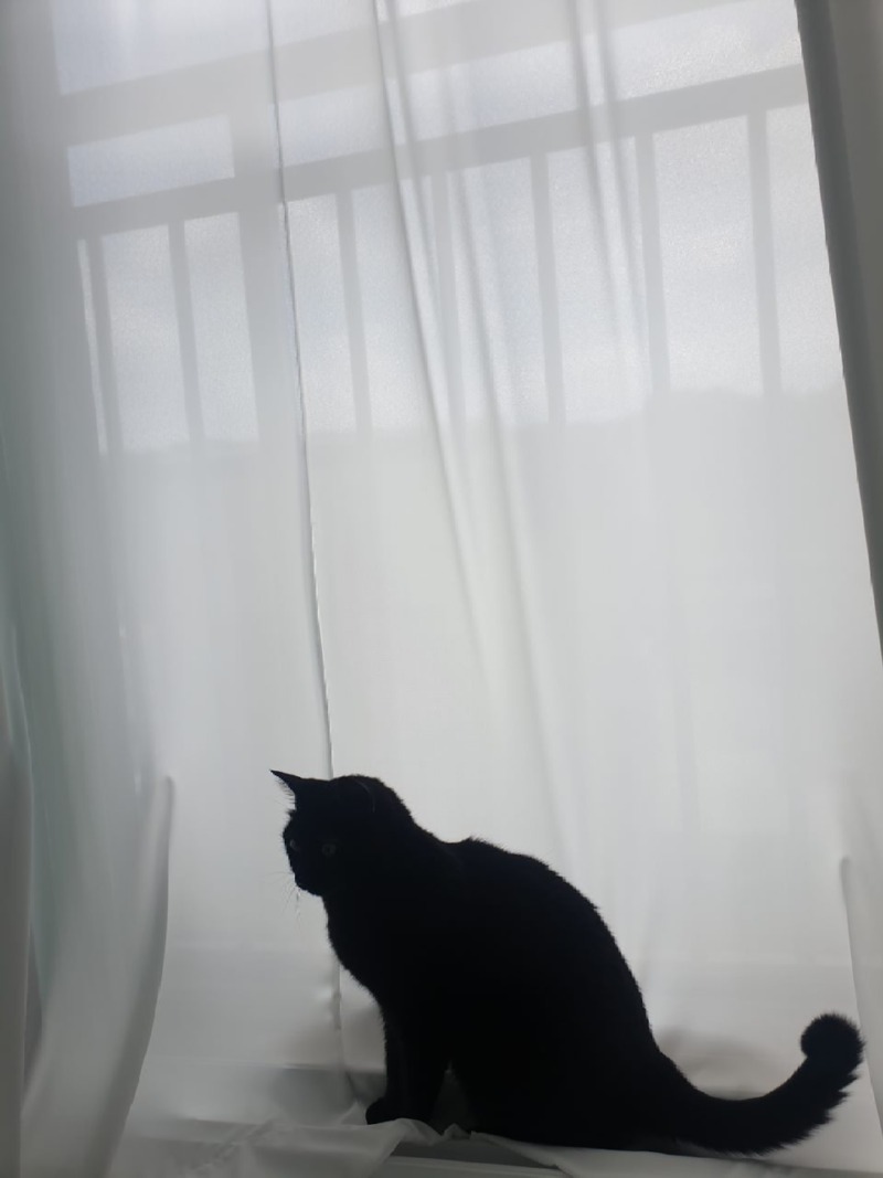 눕방 ㅋ
