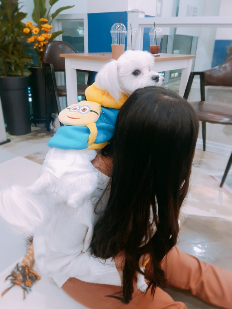 너무 이쁜 우리 아이들이랑 한주 동안 생활 공유 뚜뚱!!