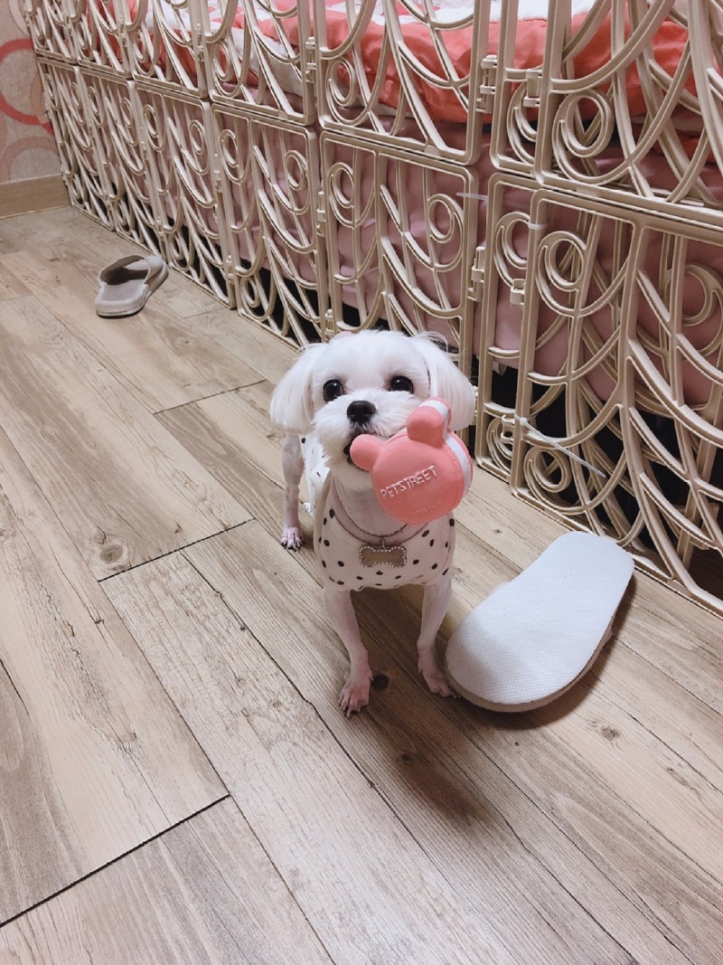 너무 이쁜 우리 아이들이랑 한주 동안 생활 공유 뚜뚱!!
