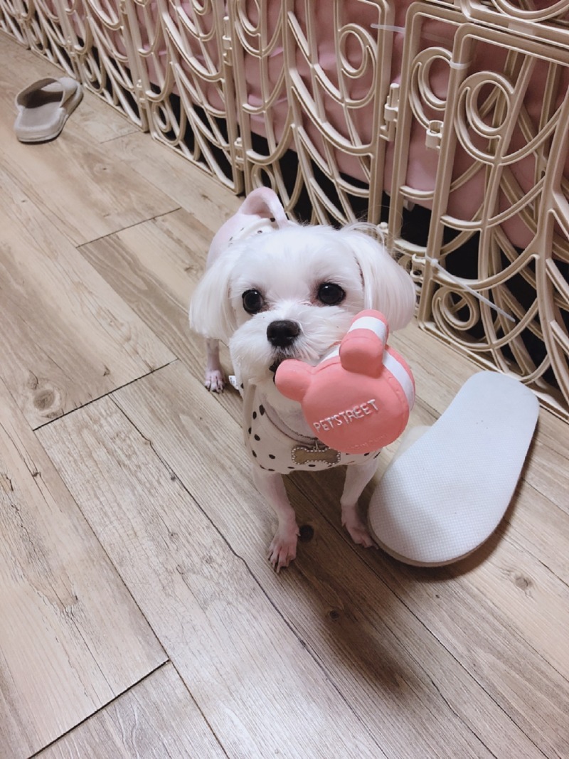 너무 이쁜 우리 아이들이랑 한주 동안 생활 공유 뚜뚱!!