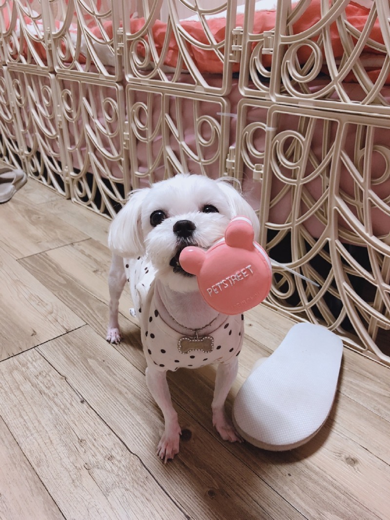 너무 이쁜 우리 아이들이랑 한주 동안 생활 공유 뚜뚱!!