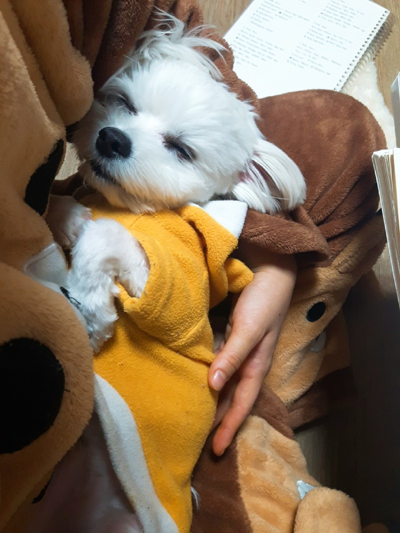 너무 이쁜 우리 아이들이랑 한주 동안 생활 공유 뚜뚱!!