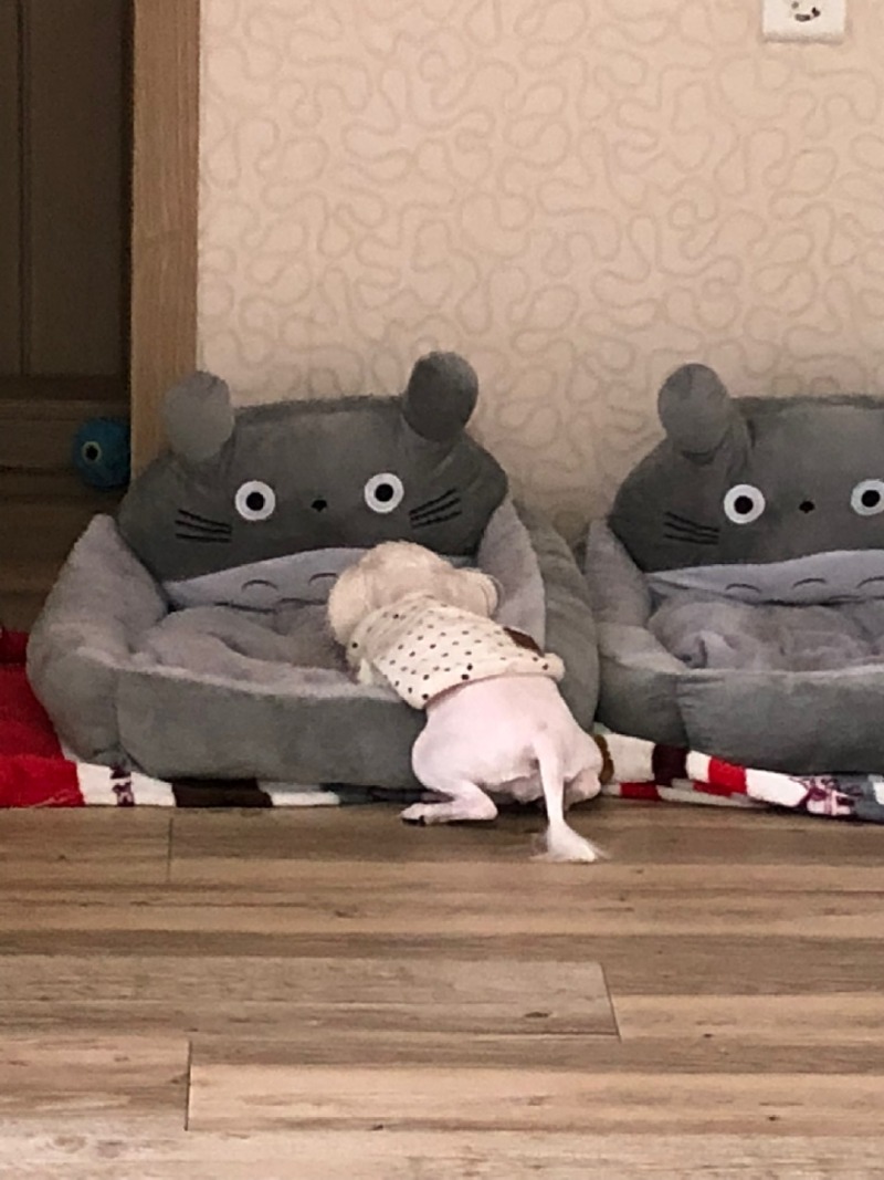너무 이쁜 우리 아이들이랑 한주 동안 생활 공유 뚜뚱!!