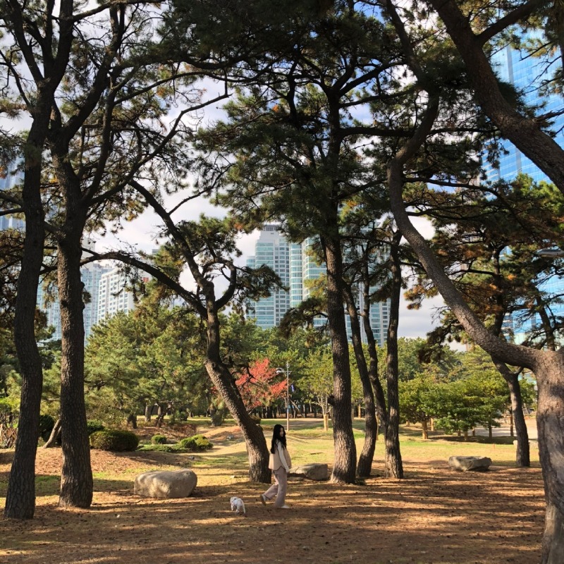 더펫텔프리미엄스위트호텔 부산여행시 숙소로 넘 좋았어요 !