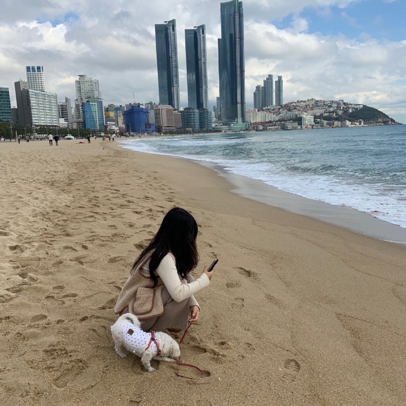 더펫텔프리미엄스위트호텔 부산여행시 숙소로 넘 좋았어요 !