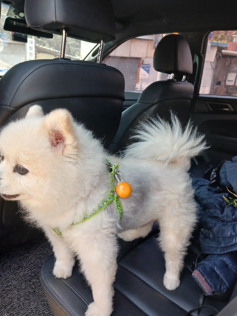 KakaoTalk_20240319_160512883_03.jpg