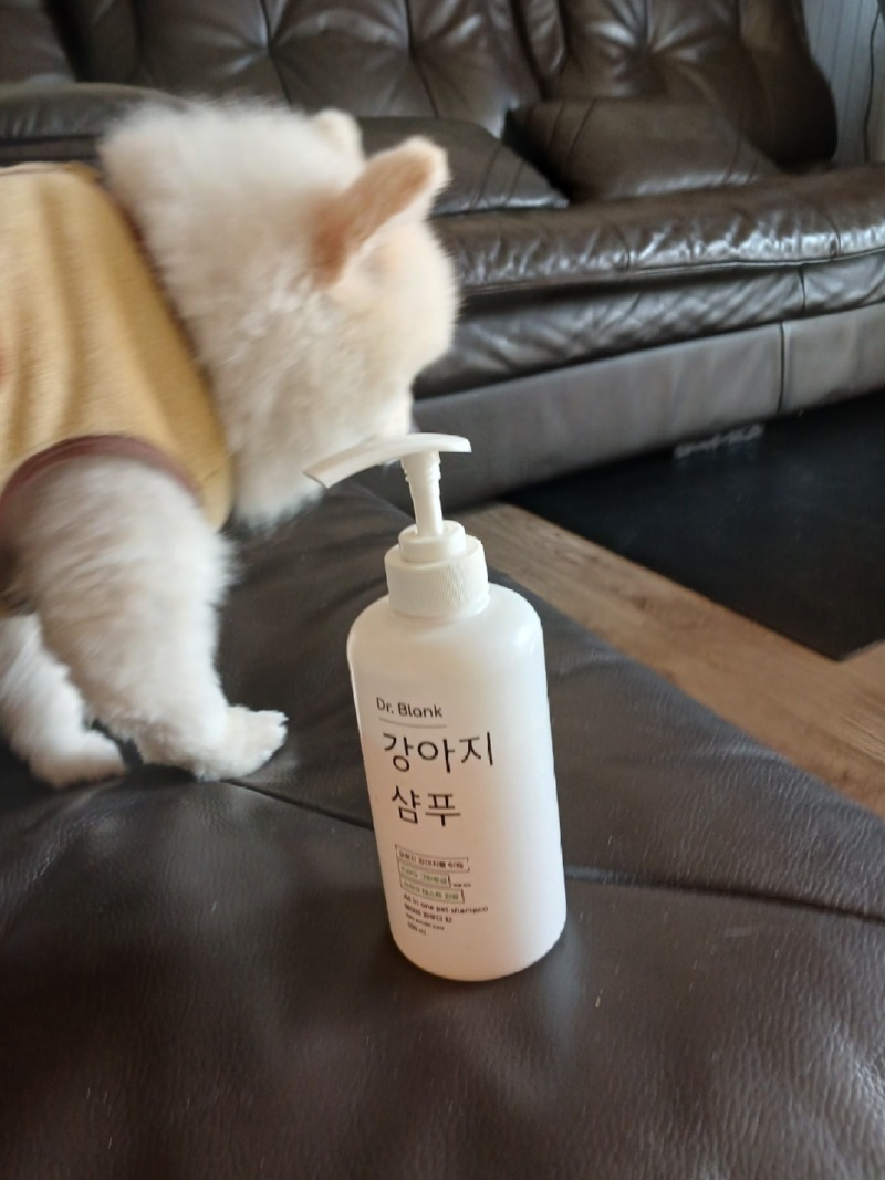 KakaoTalk_20240319_160451203_03.jpg