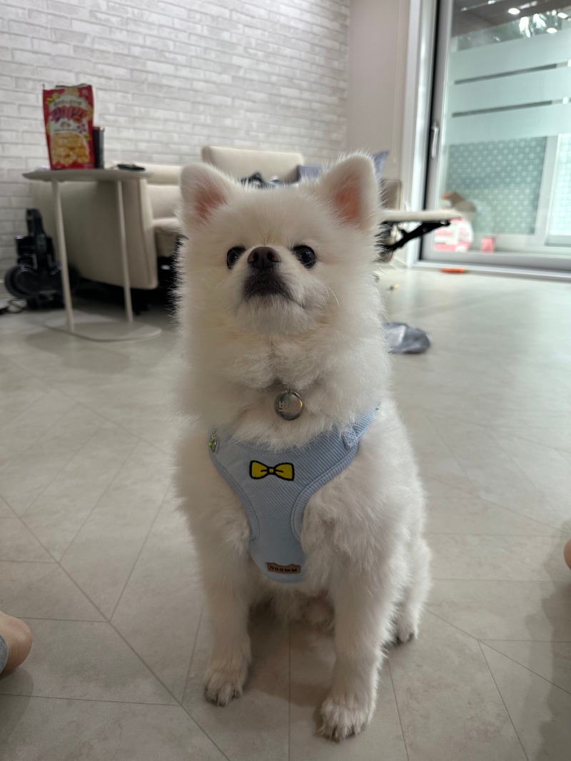 KakaoTalk_20240309_001311295_01.jpg