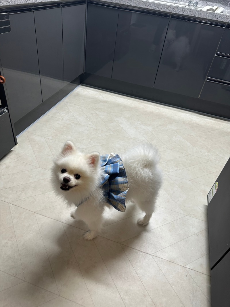 KakaoTalk_20240309_004435388_01.jpg