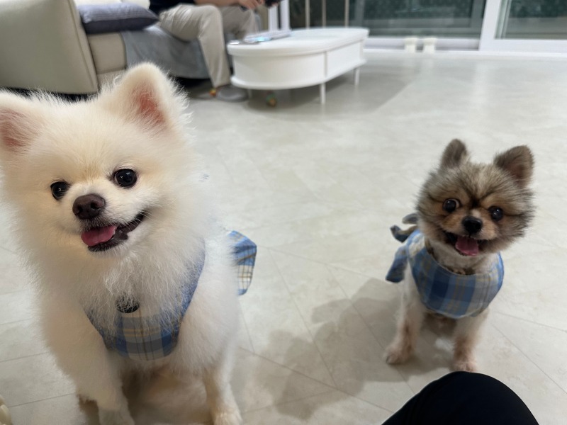 KakaoTalk_20240309_004435388_03.jpg