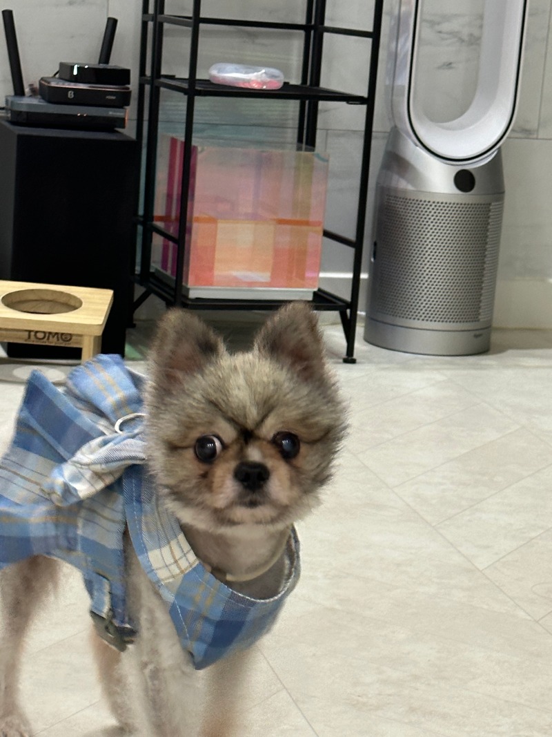 KakaoTalk_20240309_004435388_04.jpg