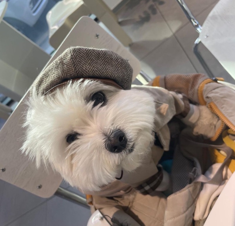 윌크카페 다녀와찌러엉 >U<