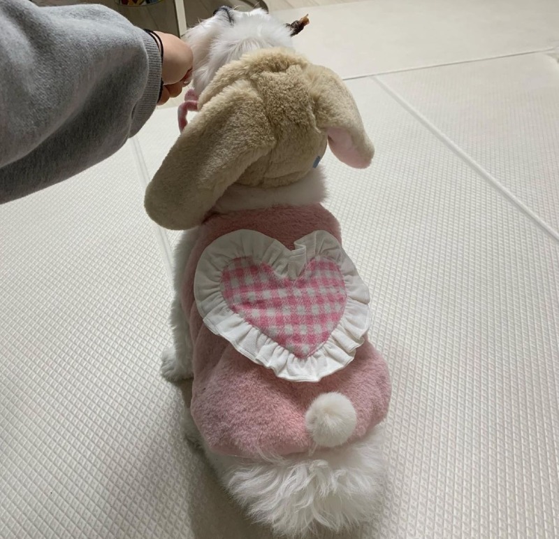 수성구주민들 잇츠폴댕 애견수제간식, 용품편집샵 들려보세욥 :)