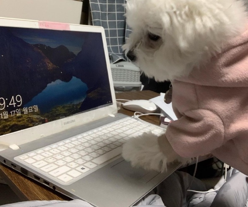 이런 대형 사고가...???>>>>?>???????!> 띠로리로리....