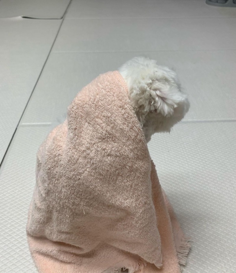 이런 대형 사고가...???>>>>?>???????!> 띠로리로리....