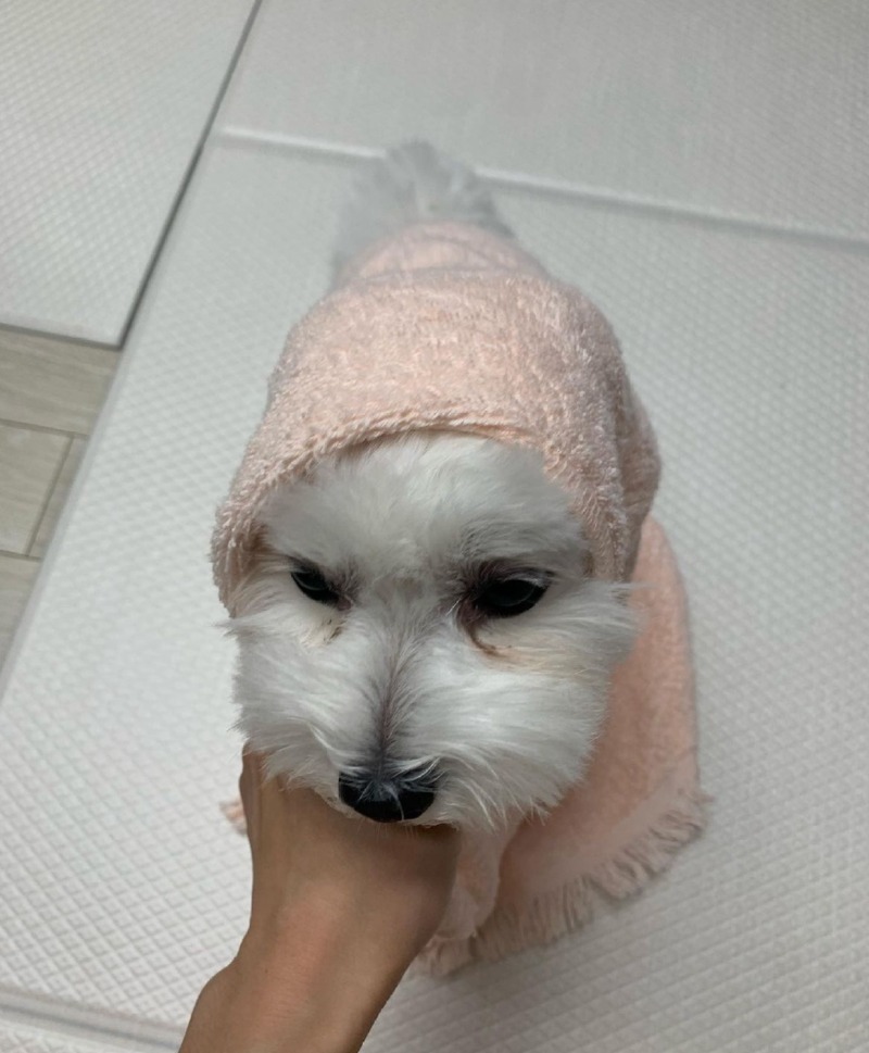이런 대형 사고가...???>>>>?>???????!> 띠로리로리....