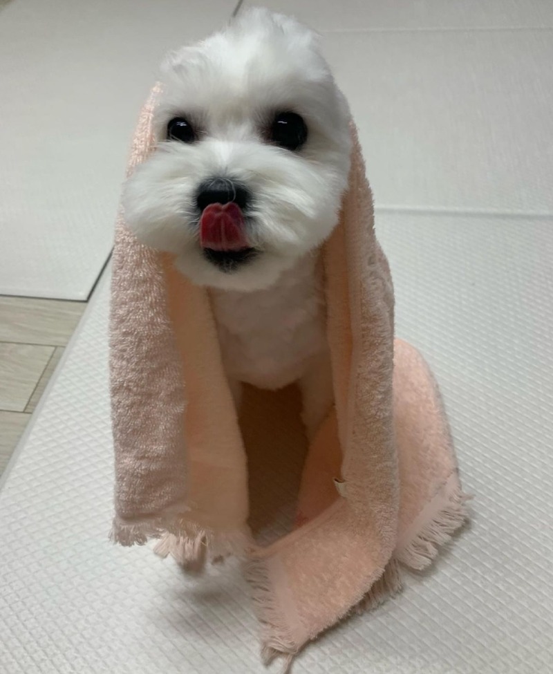 이런 대형 사고가...???>>>>?>???????!> 띠로리로리....