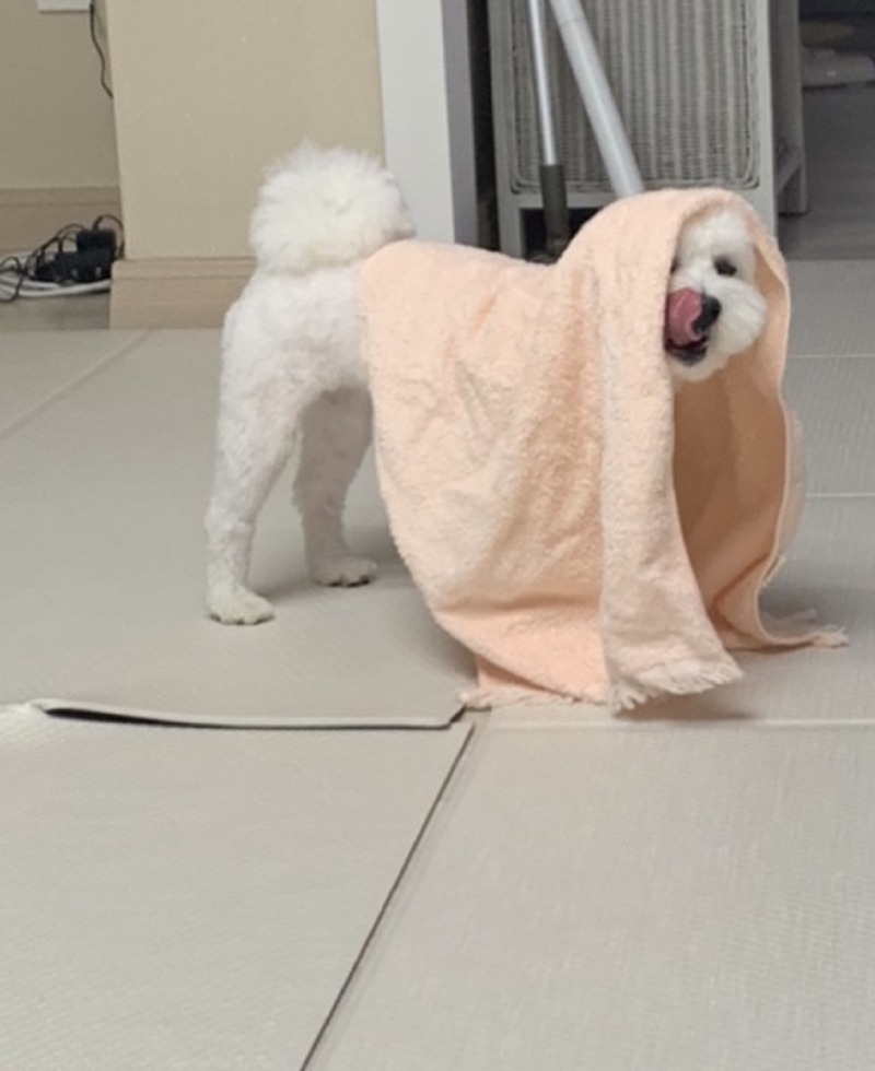 이런 대형 사고가...???>>>>?>???????!> 띠로리로리....
