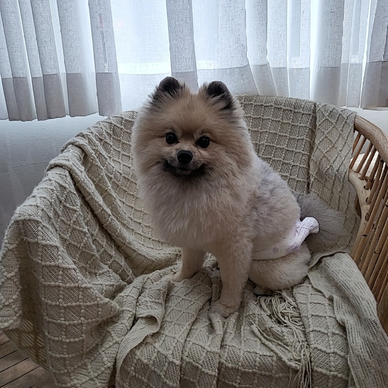 꽃비사진관에서 촬영했다아 ㅊㅋㅊㅋ