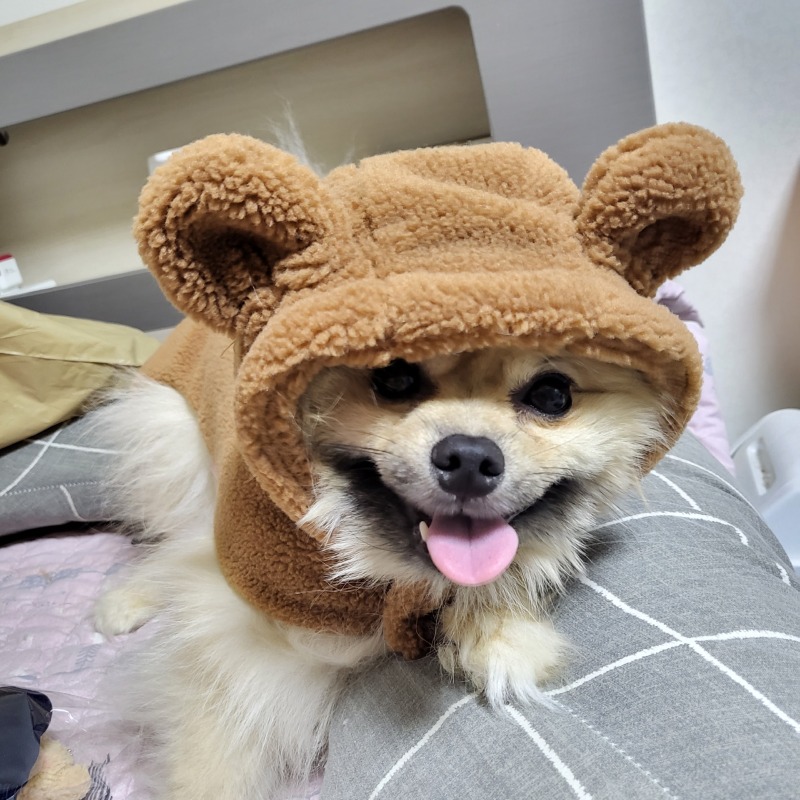 옷 선물 받았습니다 룰루랄라