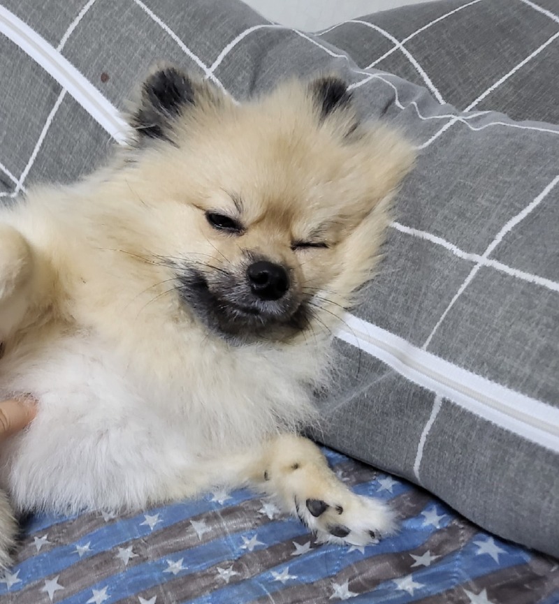 옷 선물 받았습니다 룰루랄라