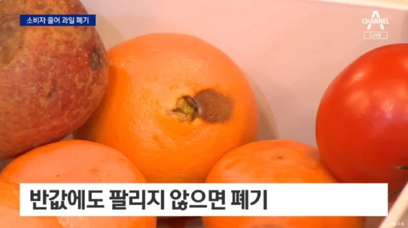 금값 마냥 가격이 오르던 과일 근황... 