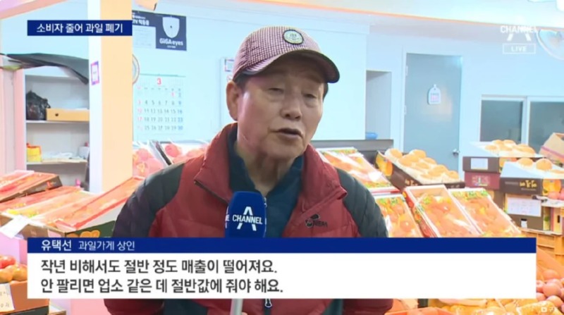 금값 마냥 가격이 오르던 과일 근황... 