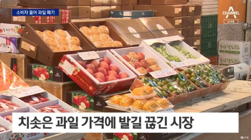 금값 마냥 가격이 오르던 과일 근황... 