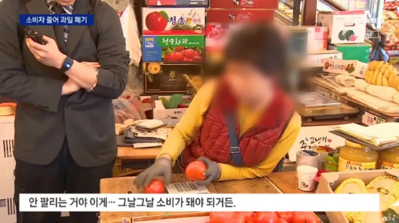 금값 마냥 가격이 오르던 과일 근황... 