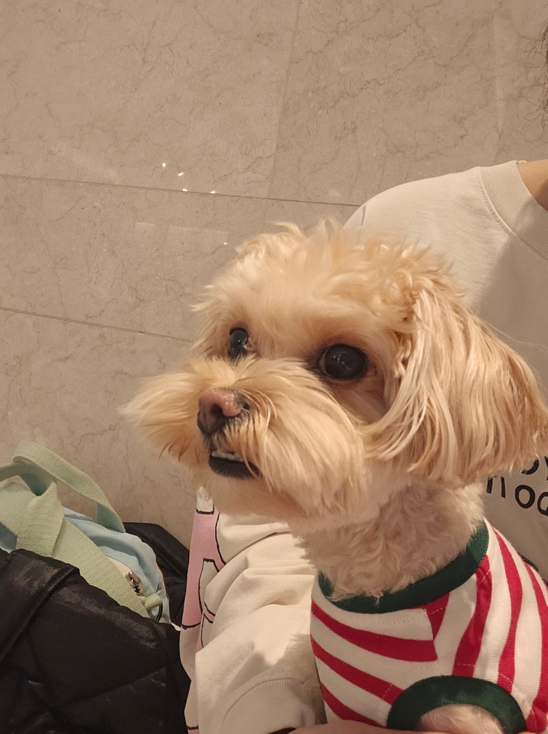 파주 헤이리마을 카페 흑사당