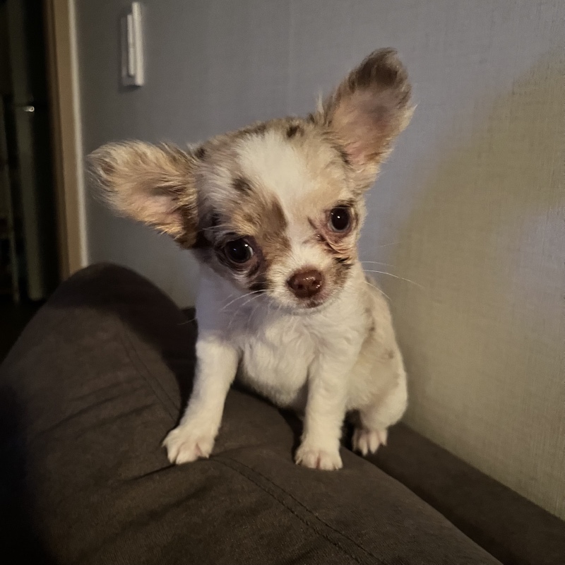 울공주