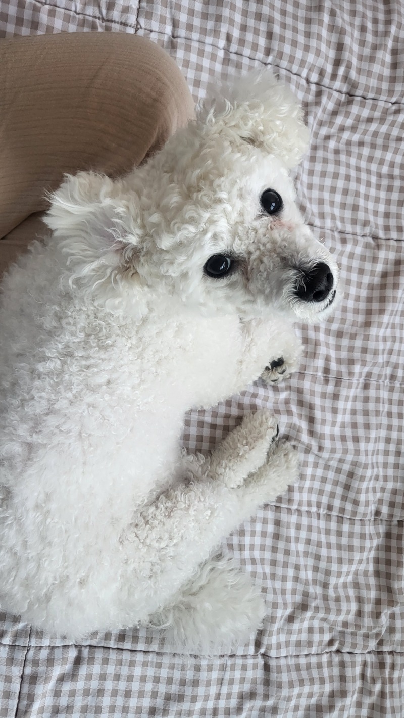 늦잠