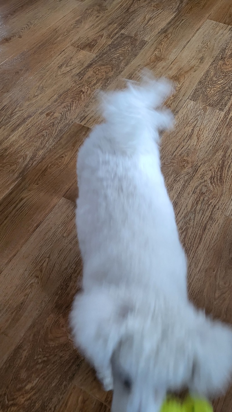 20240320_121552.jpg