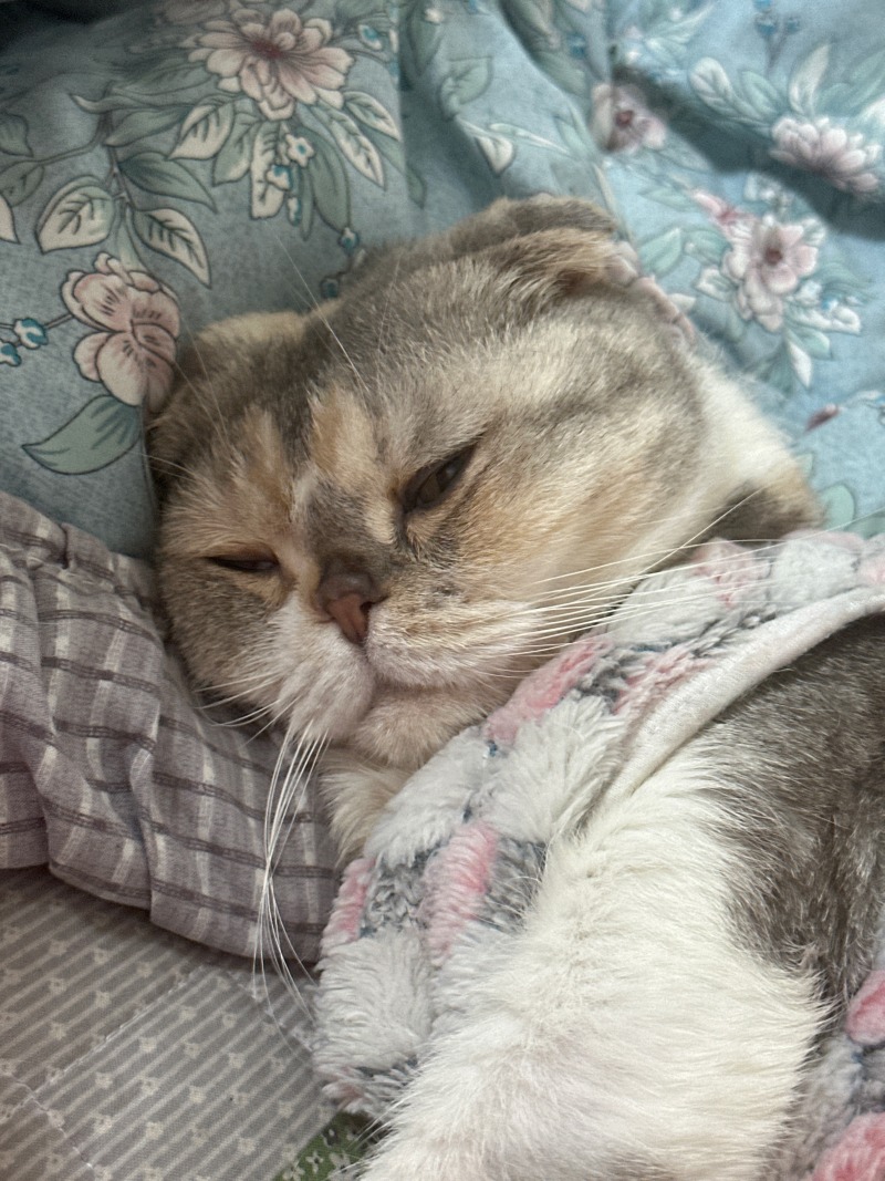 KakaoTalk_20240313_164335598_10.jpg